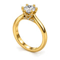 RING-071 angled view