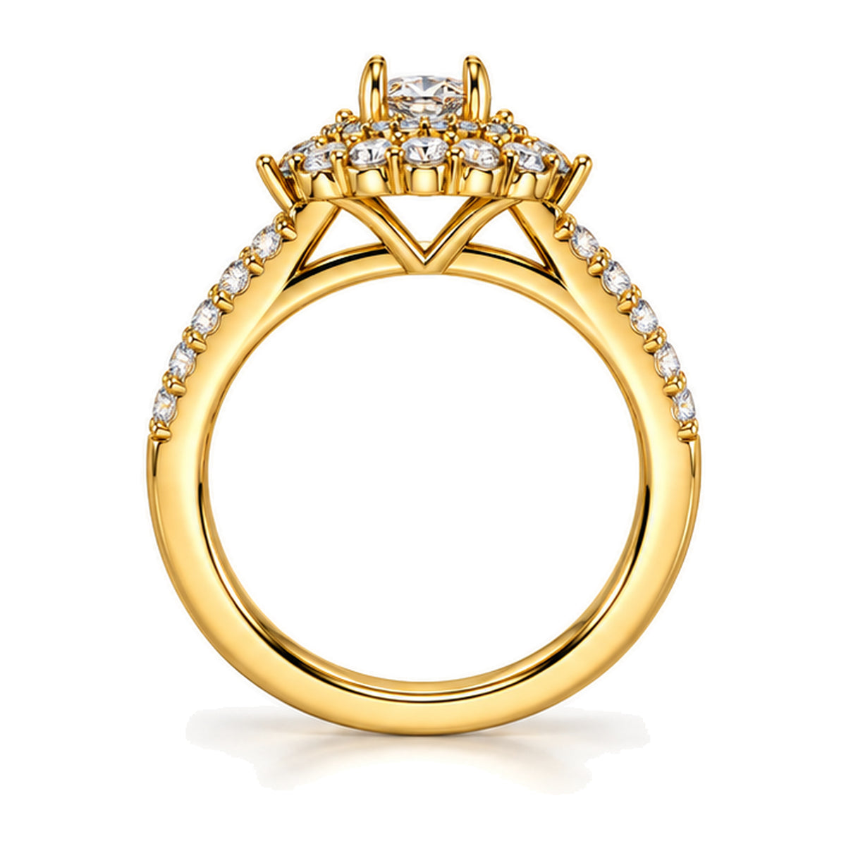 RING-101 front view