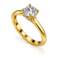 RING-110 angled view